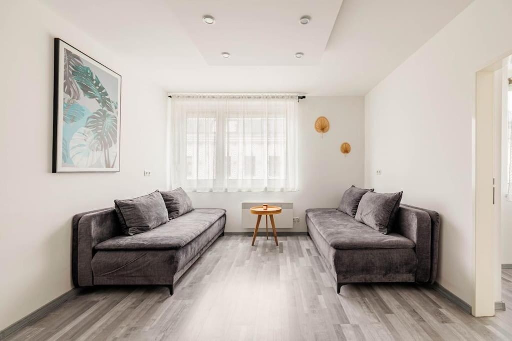 Cozy Renovated Close To Schoenbrunn Palace * Viena